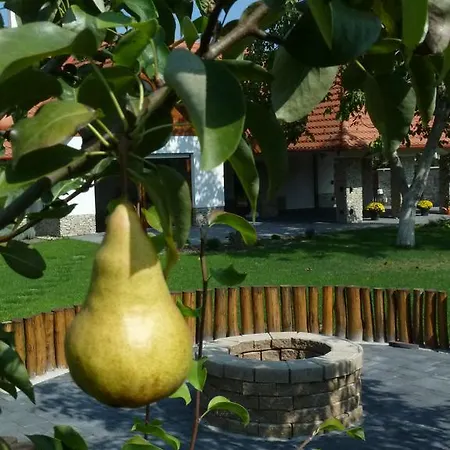 Villa Holiday Poroszló *
