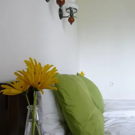 Apartment Villa Holiday