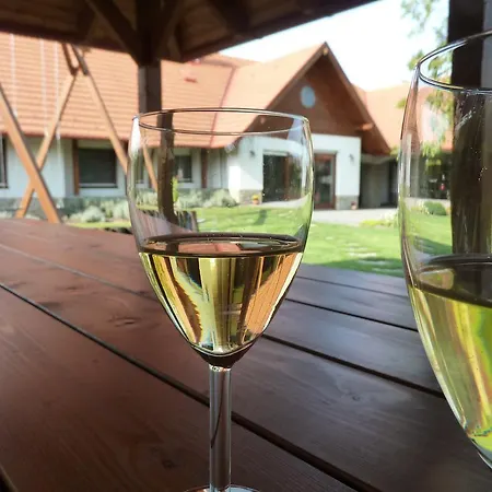 Villa Holiday Apartament *