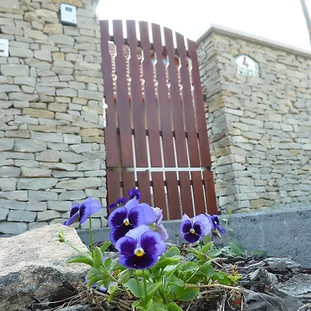 Villa Holiday Poroszló